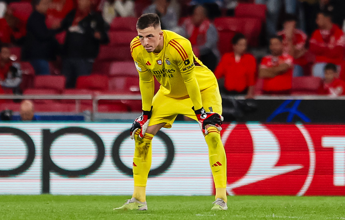 Anatoliy Trubin: Benfica's Guardian Angel — Unleashing European Brilliance in the UCL
